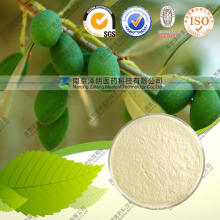 Anti-Oxidation Olive Leaf Extract Pulver Oleuropein 80%